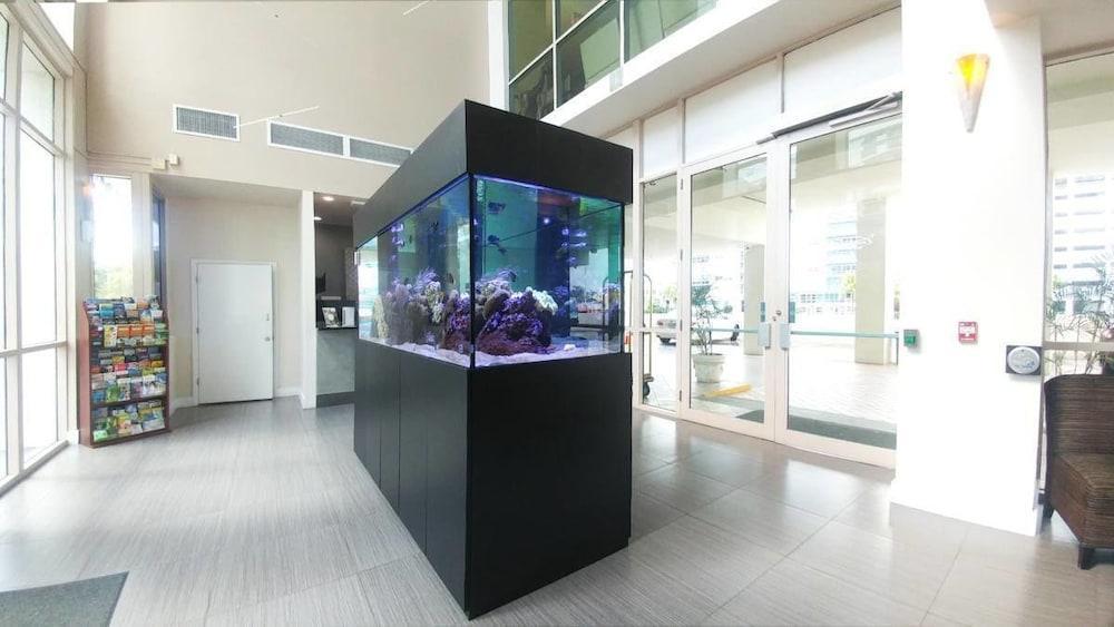 The Casablanca On The Ocean West Tower Hotel Miami Beach Ngoại thất bức ảnh